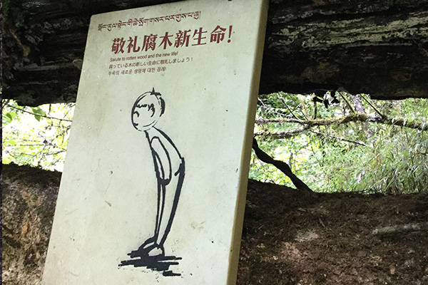 旅游景區(qū)標牌
