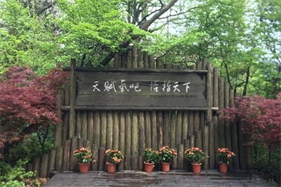 主題公園導視系統